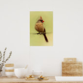 Kardinal Songbird Poster (Küche)