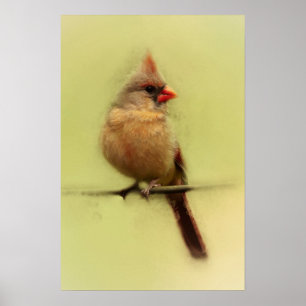 Kardinal Songbird Poster