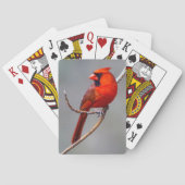 Kardinal Spielkarten (Rückseite)