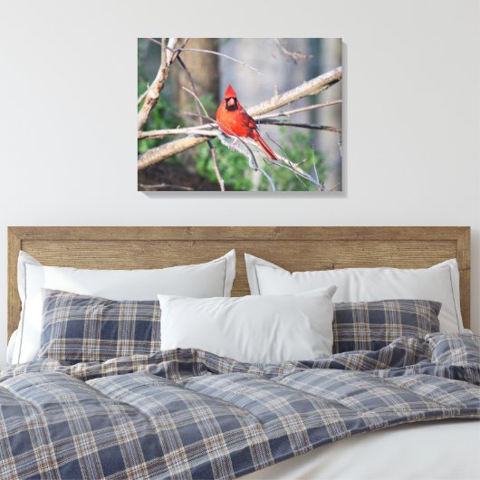 Kardinal Spring Woods Leinwanddruck (Insitu (Schlafzimmer))