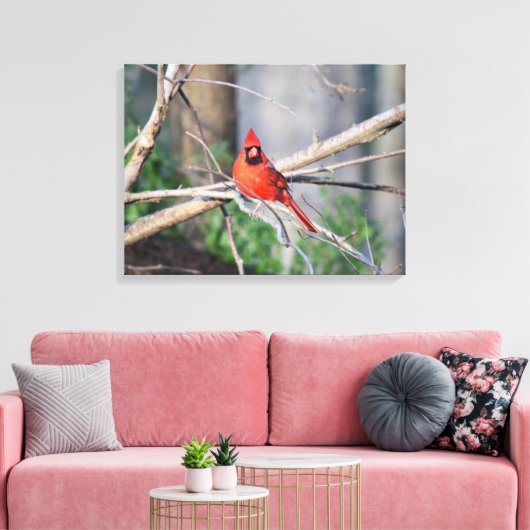 Kardinal Spring Woods Leinwanddruck (Insitu (Wohnzimmer))
