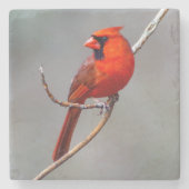 Kardinal Stone Untersetzer (Vorderseite)