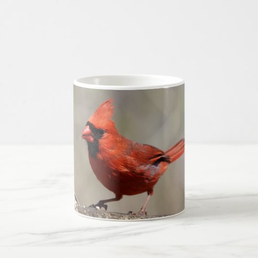 Kardinal Tasse (Mittel)