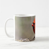 Kardinal Tasse (Links)