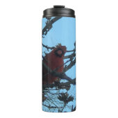 Kardinal Thermosbecher (Vorderseite)