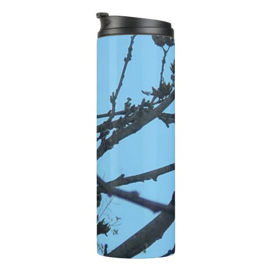 Kardinal Thermosbecher (Nach rechts gedreht)