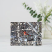 Kardinal Tree Postkarte (Stehend Vorderseite)