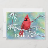 Kardinal über Schneebaubudget Weihnachten (Vorderseite)