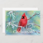 Kardinal über Schneebaubudget Weihnachten (Vorne/Hinten)