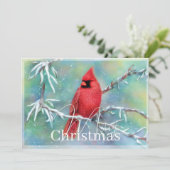 Kardinal über Schneebaubudget Weihnachten (Stehend Vorderseite)