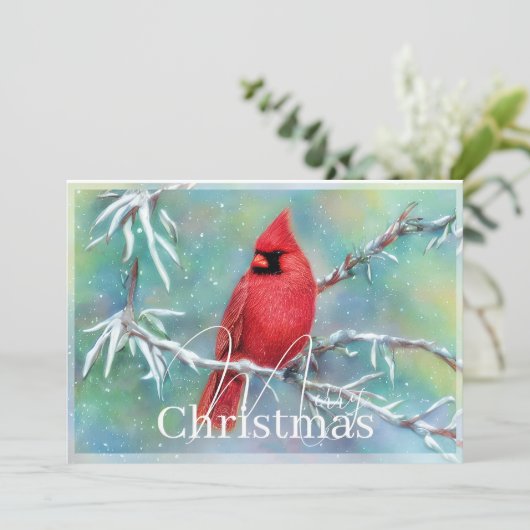 Kardinal über Schneebaubudget Weihnachten (Stehend Vorderseite)