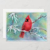 Kardinal über Schneebaubudget Weihnachten (Vorne/Hinten)