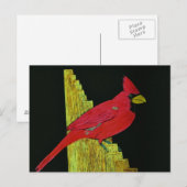 Kardinal über Zaunarbeiten Postkarte (Vorne/Hinten)