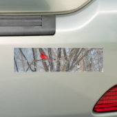 Kardinal und Chickadee Autoaufkleber (Auf Auto)