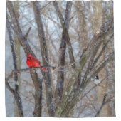Kardinal und Chickadee Duschvorhang (Vorderseite)