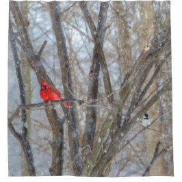 Kardinal und Chickadee Duschvorhang