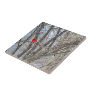 Kardinal und Chickadee Fliese