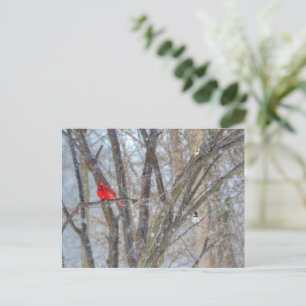 Kardinal und Chickadee Postkarte
