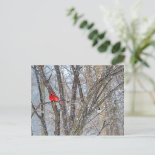 Kardinal und Chickadee Postkarte (Stehend Vorderseite)