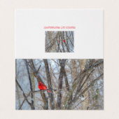 Kardinal und Chickadekarte (Außenseite Aufgefaltet)