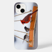 Kardinal und Juncos iPhone Case (Rückseite)
