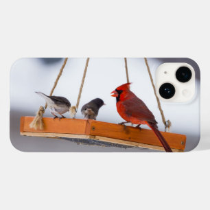 Kardinal und Juncos iPhone Case