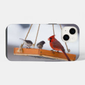 Kardinal und Juncos iPhone-Hülle iPhone Hülle (Rückseite (Horizontal))