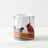 Kardinal und Juncos-Kaffee-Tasse Kaffeetasse (Mittel)