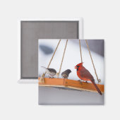Kardinal und Juncos Magnet (Vorderseite/Rückseite)