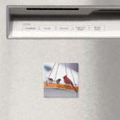 Kardinal und Juncos Magnet (In Situ (Geschirrspüler))