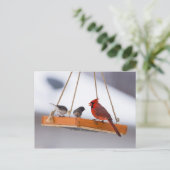 Kardinal und Juncos Postkarte (Stehend Vorderseite)