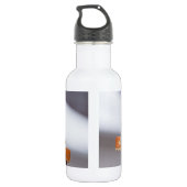 Kardinal und Juncos-Wasserflasche Edelstahlflasche (Rückseite)