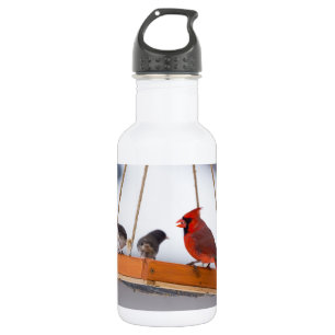 Kardinal und Juncos-Wasserflasche Edelstahlflasche