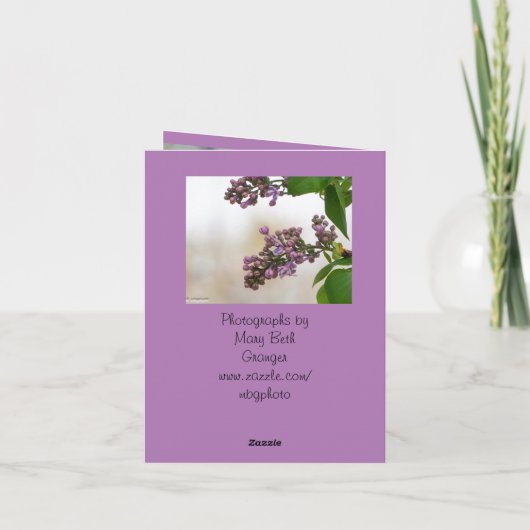 Kardinal und Lilac Karte (Rückseite)