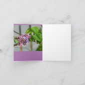 Kardinal und Lilac Karte (Innenseite)