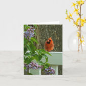 Kardinal und Lilac Karte (Gelbe Blume)