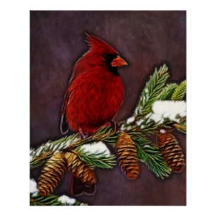 Kardinal und Pinecones Poster