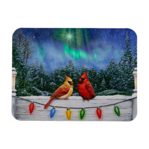 Kardinal und Weihnachtslicht Winterschnee Magnet