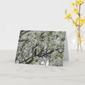 Kardinal unter weißen Blüten Karte (Gelbe Blume)