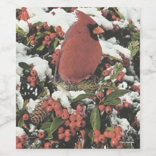 Kardinal Urlaubserlebnis Weinflaschen Etikett (Einzelnes Label)