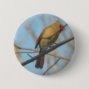 Kardinal/Vogel Button