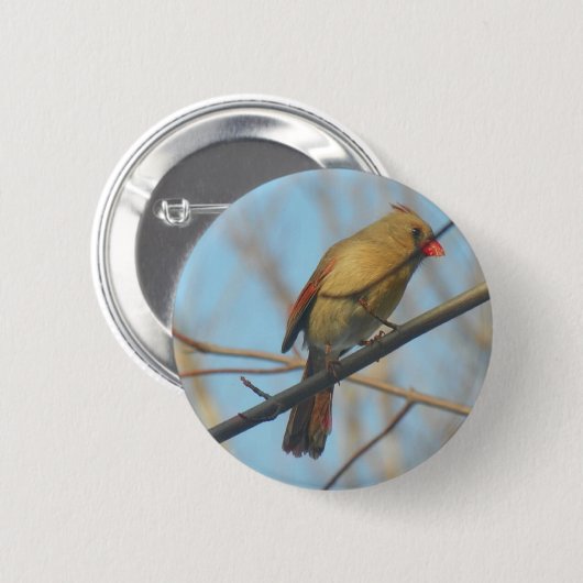 Kardinal/Vogel Button (Vorne & Hinten)