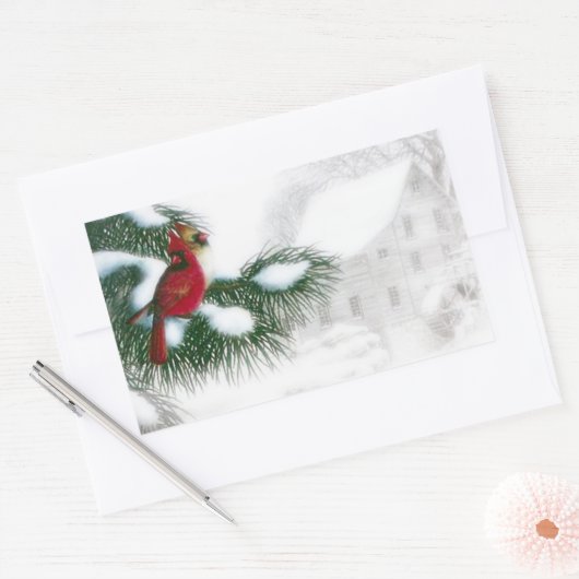 Kardinal Vögel im Schnee Sticker (Umschlag)