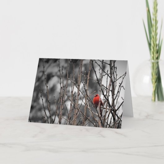 Kardinal-Vogel, Karte (Vorderseite)