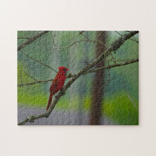 Kardinal Vögel. Puzzle (Horizontal)