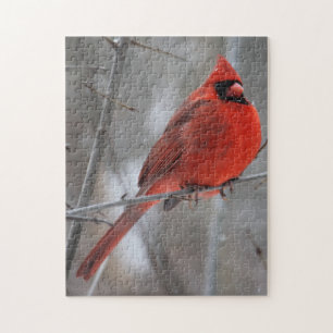 Kardinal von Chunky Bright Red Männchen im Winters Puzzle