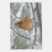 Kardinal von Frauen im Norden in Schneekiefern, Handtuch (Vertikal)