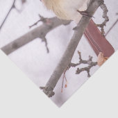 Kardinal von Frauen im Winter Seidenpapier (Ausschnitt)