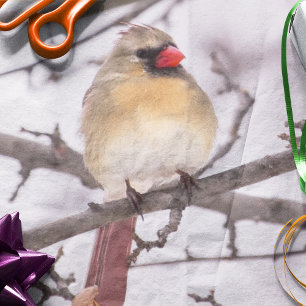 Kardinal von Frauen im Winter Seidenpapier
