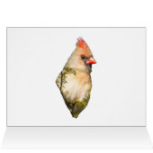 Kardinal von Frauen in Evergreen (Innenansicht Horizontal (Oben))